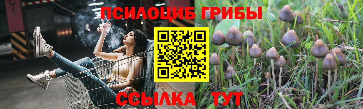 Псилоцибиновые грибы ЛСД Северск