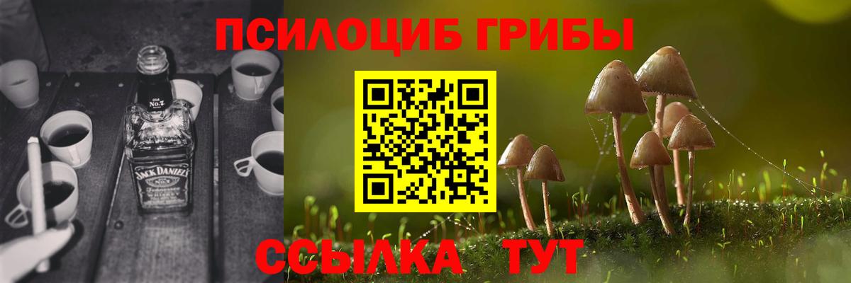 Псилоцибиновые грибы мицелий  Вход с VPN  Северск  Псилоцибиновые грибы ЛСД 